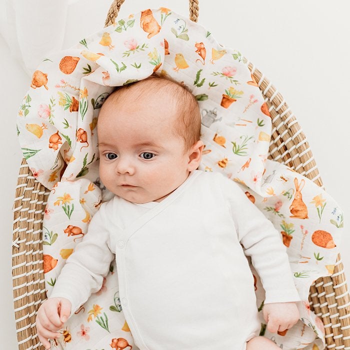 Fox in the attic muslin on sale